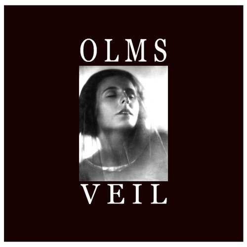 VEIL