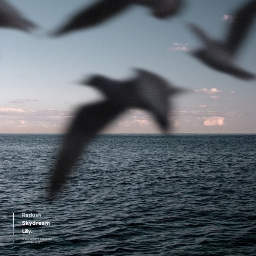 Skydream - Single