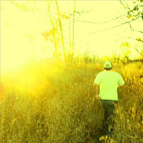 Field Dreams