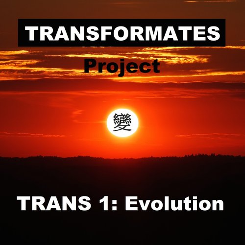 Trans 1: Evolution