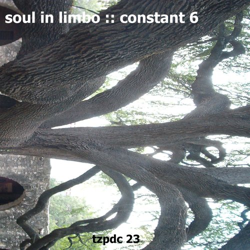 Constant 6