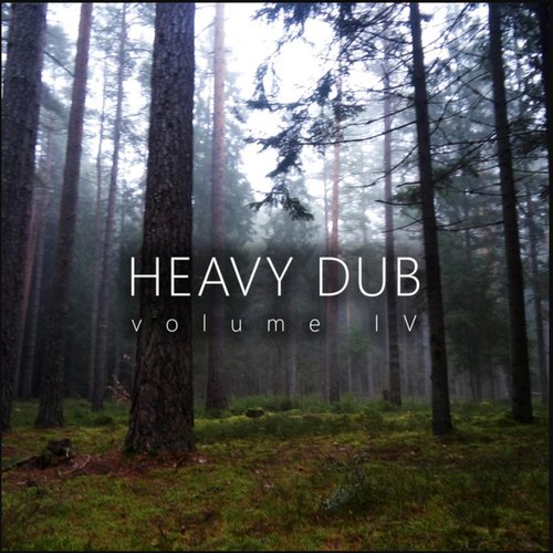 Heavy Dub, Vol. 4