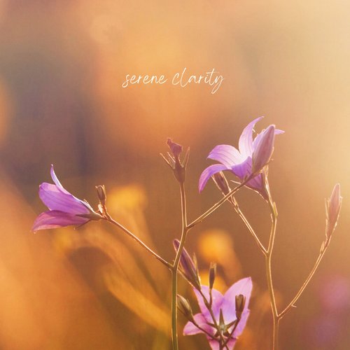 Serene Clarity