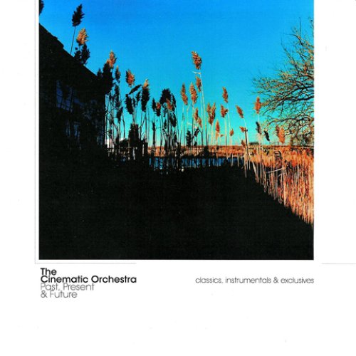 The cinematic orchestra to build a home