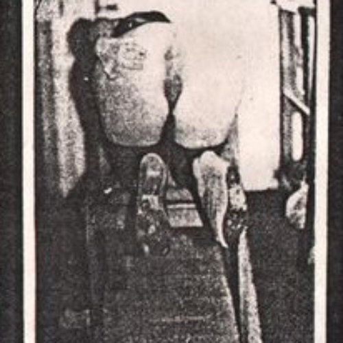 Anal Perversions