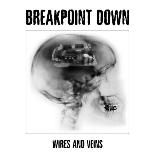 Wires and Veins