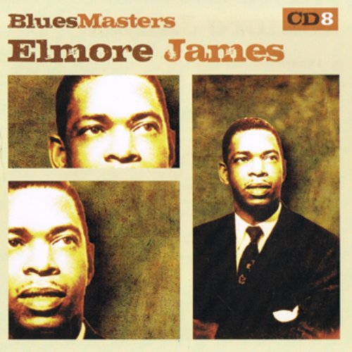 Blues Masters