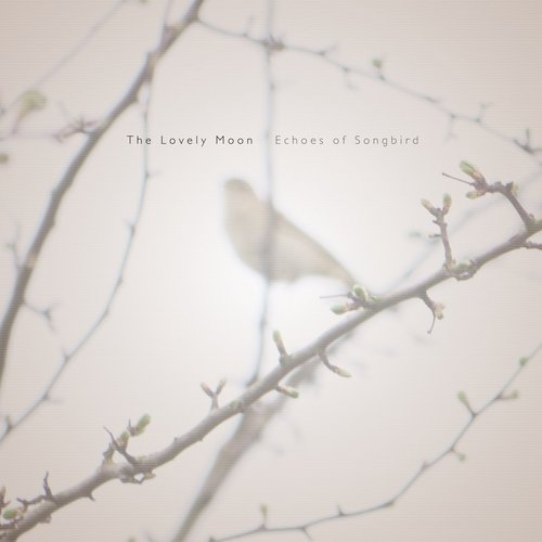 Echoes of Songbird