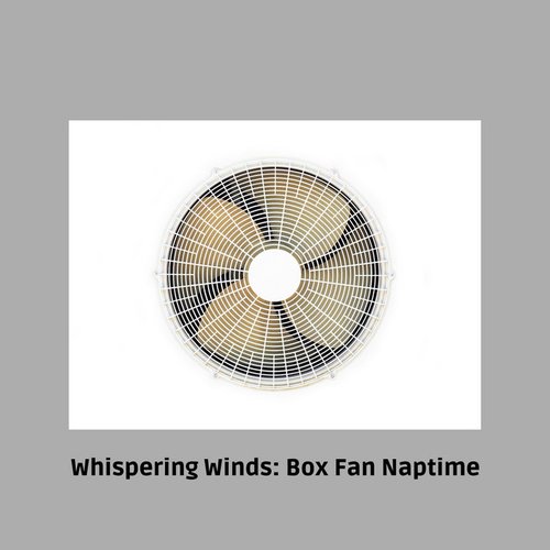 Whispering Winds: Box Fan Naptime