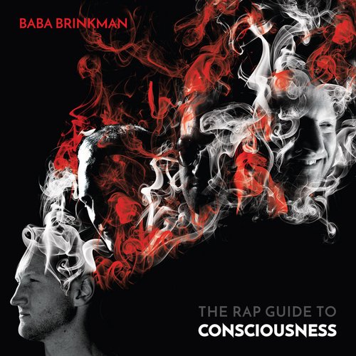 The Rap Guide to Consciousness