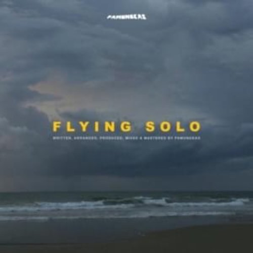 Flying Solo