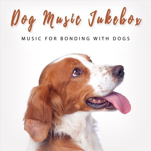 Music for Bonding with Dogs