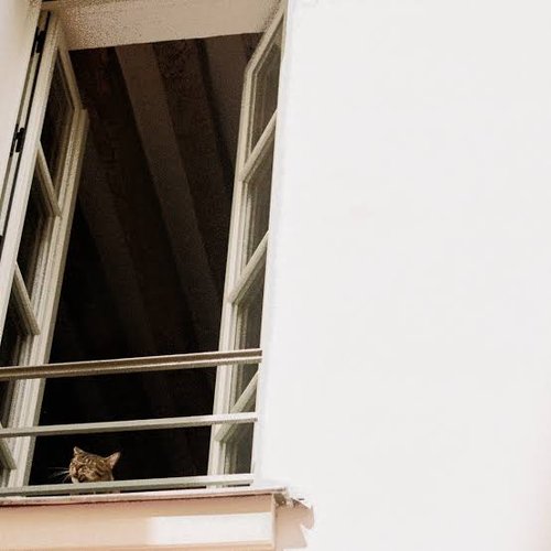 Something Soft [Explicit]