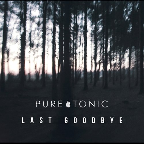 Last Goodbye