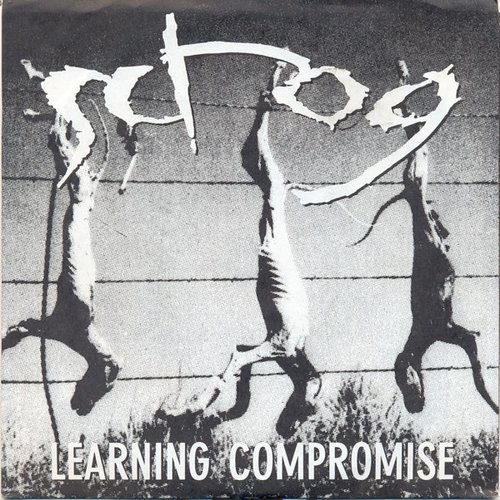 Learning Compromise