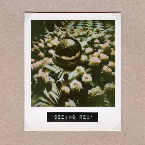 Seeing Red - Single