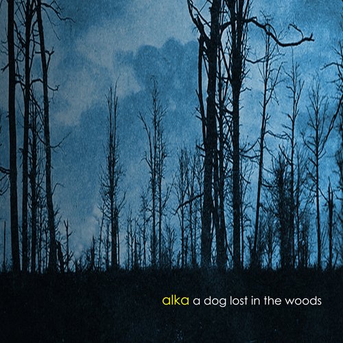 A Dog Lost in the Woods
