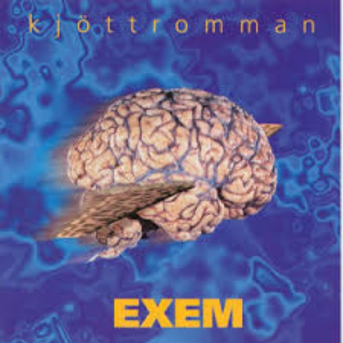 Kjöttromman