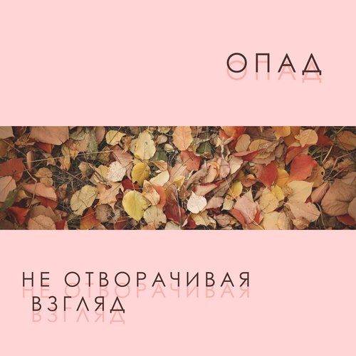 Не отворачивая взгляд