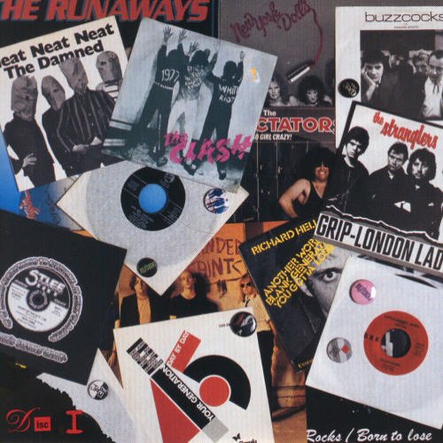 Various Artists, No Thanks! The 70s Punk Rebellion (Comp.)