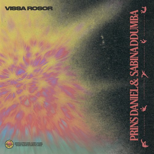 Vissa rosor