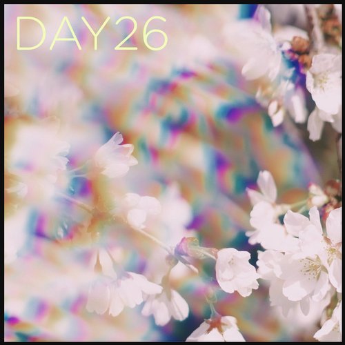 Day 26