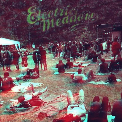 Live@Electric Meadow 2015