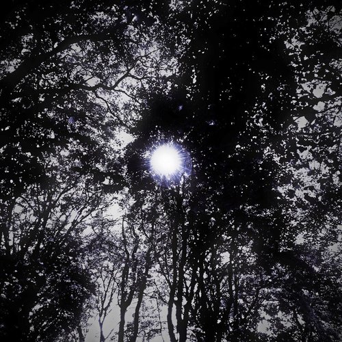 Elektrical Aktivity Ep5 Expanded