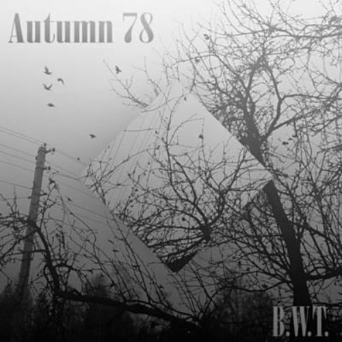 Autumn 78