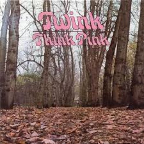 Think Pink (Expanded Stereo Edition)