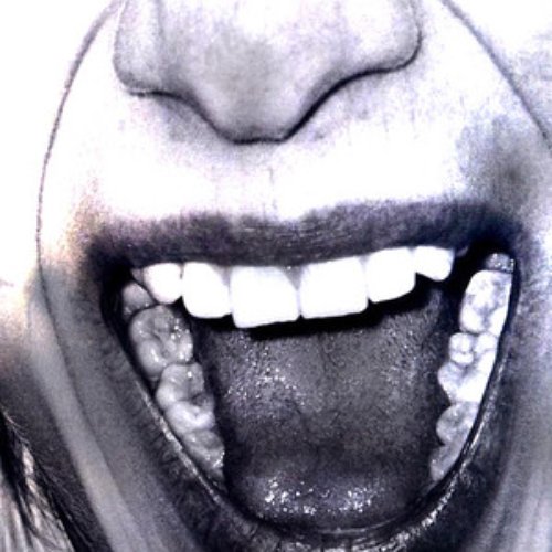 Erotica