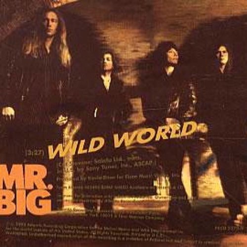 Wild world. 076 Mr big - Wild World. Mr. big Unplugged. Big, bigger, biggest! The best of Mr. big Mr. big. Mr. big Wild World Greatest Hits.