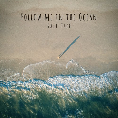 Follow Me in the Ocean