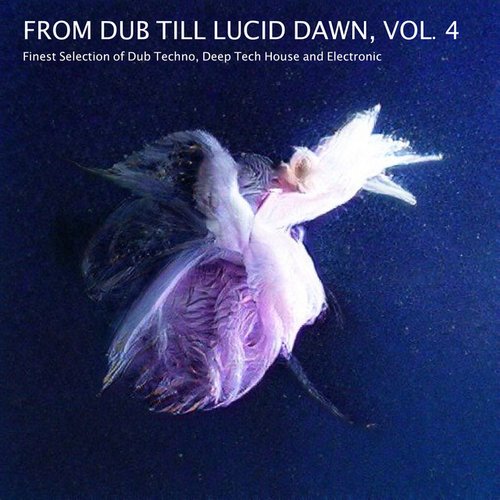 From Dub Till Lucid Dawn - Finest Selection of Dub Techno, Deep Tech House and Electronic