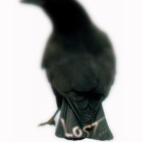 The Alternate Universe Of Lost Crow 2008