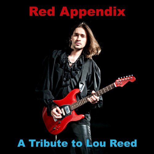 A Tribute To Lou Reed