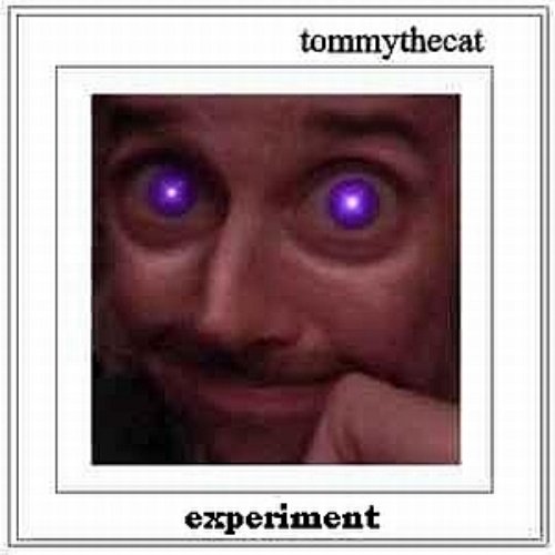 experiment