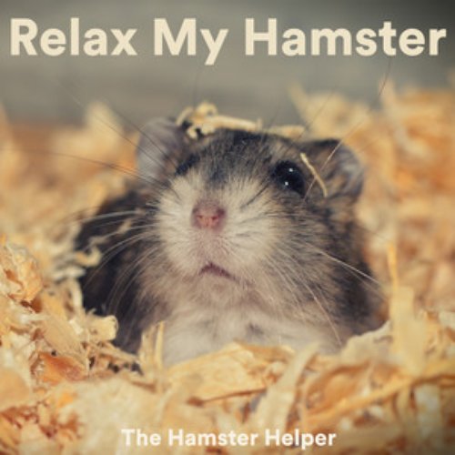 Relax My Hamster