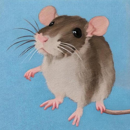 Litty Bitty Rat