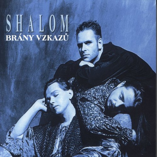 Brany vzkazu