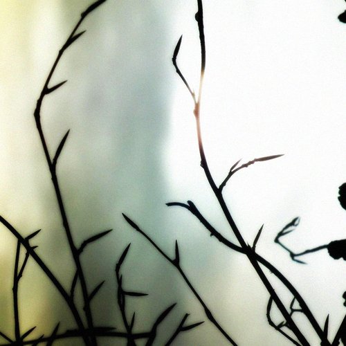 A Sense of Uncertainty - EP