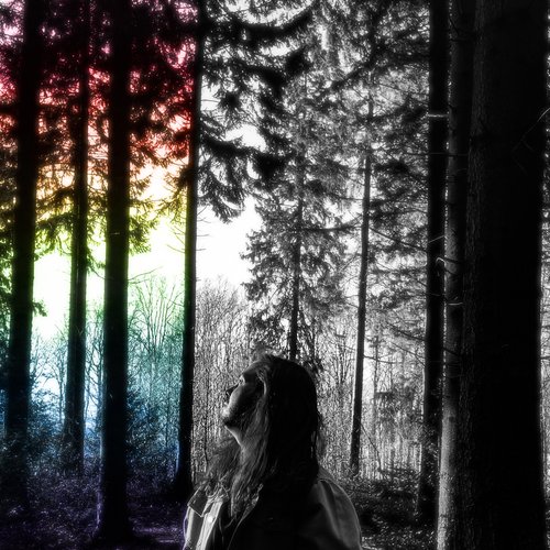 Forever Forest