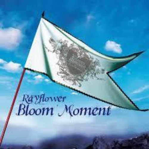 Bloom Moment