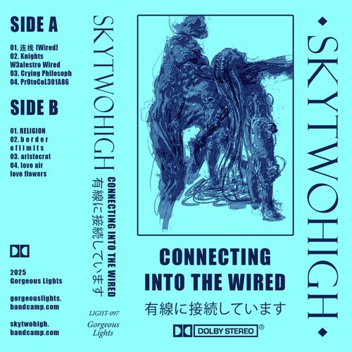 ＣＯＮＮＥＣＴＩＮＧ　ＩＮＴＯ　ＴＨＥ　ＷＩＲＥＤ