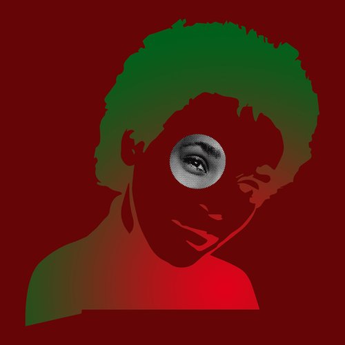 How Will I Know (Planningtorock Tribute Remix)