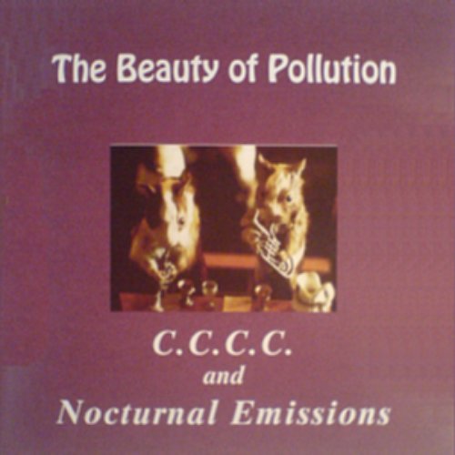 The Beauty of Pollution