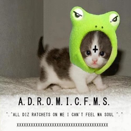 A.D.R.O.M.I.C.F.M.S. 1 [Explicit]