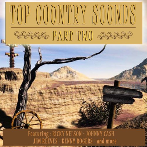 Top Country Sounds Part 2