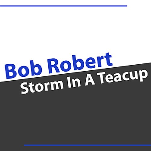 Storm In A Teacup - Single