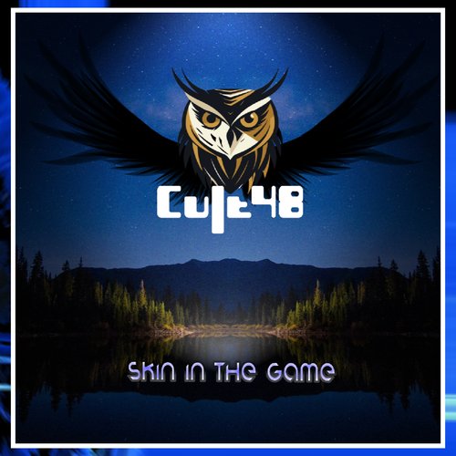 Skin In The Game